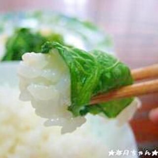 びっくり!?野沢菜漬けみたいな菜の花漬け